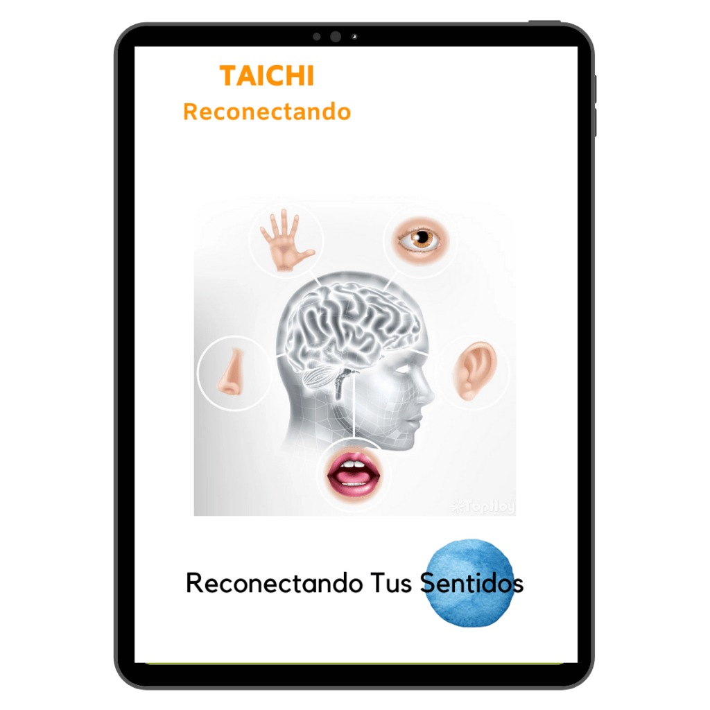 4 Reconectando Sentidos