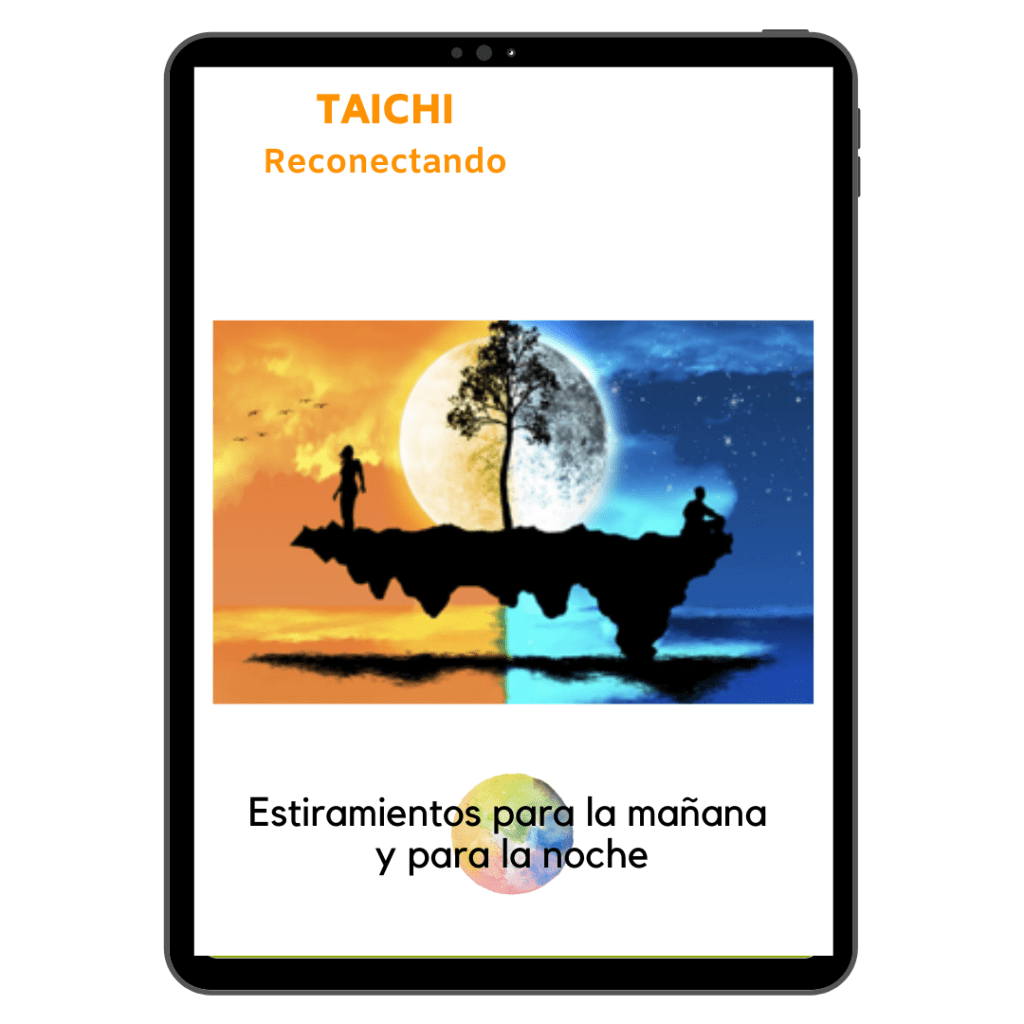 6 Estiramientos