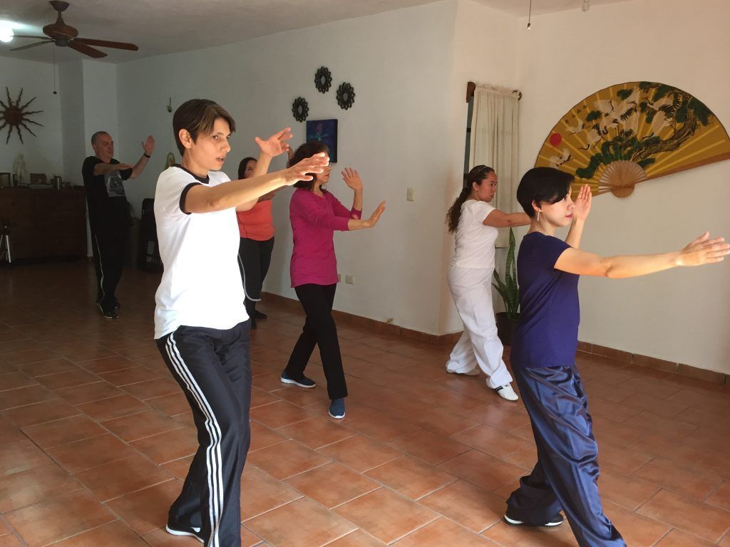 SOI MAS Taichi2