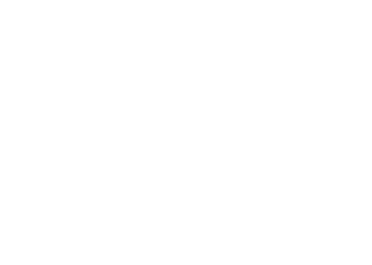 gray logo alpino