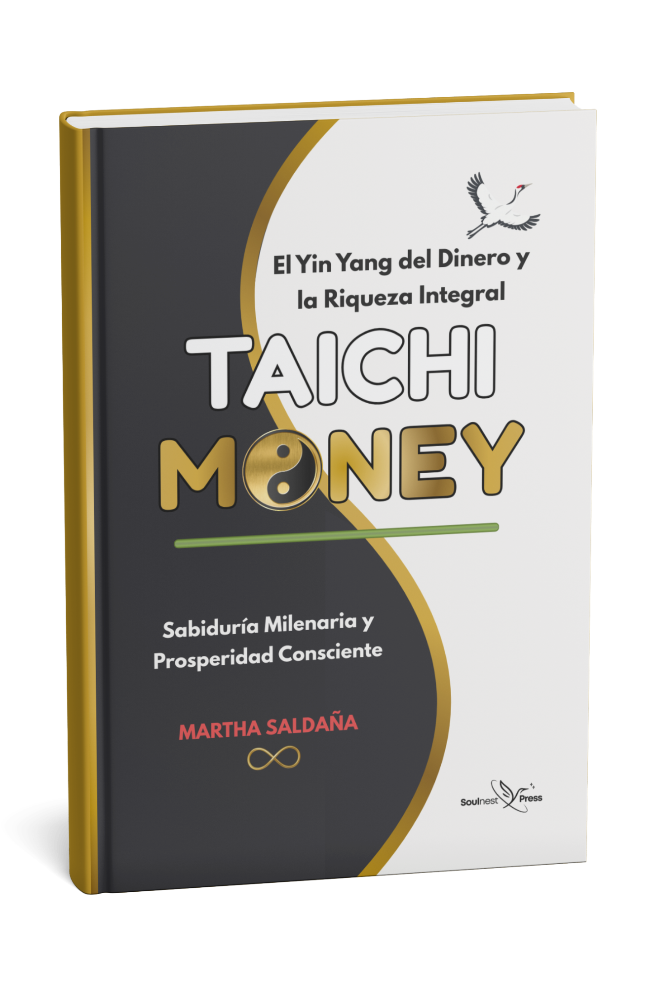 Mockup-Taichi-Money