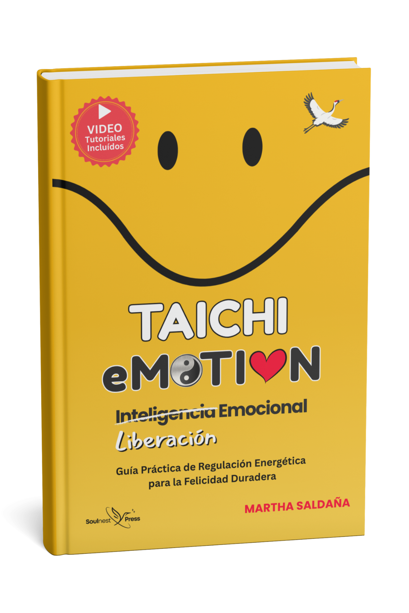 Mockup-Taichi-eMOTION